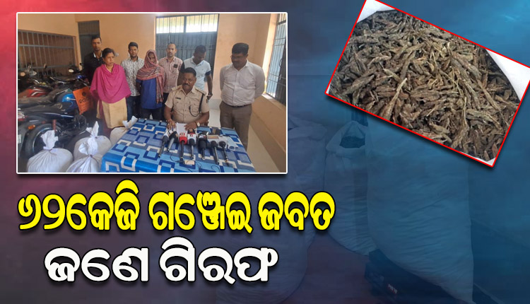 ପିକପ୍ ଭ୍ୟାନରେ ସିକ୍ରେଟ ଚ୍ୟାମ୍ବର କରି ହେଉଥିଲା ଗଞ୍ଜେଇ ଚାଲାଣ; ମାଡିବସିଥିଲା ଅବକାରୀ ବିଭାଗ, ଜଣେ ଗିରଫ