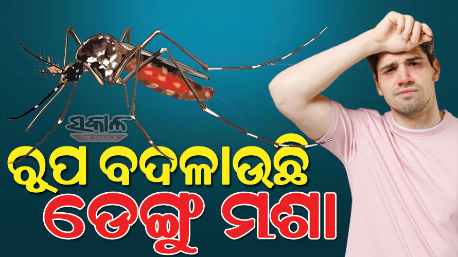 ଡ଼େଙ୍ଗୁର ବାହକ ସାଜିଛି ନୂଆ ପ୍ରଜାତିର ଘାତକ ‘ଆଲ୍‌‌ବୋପିକ୍ଟସ’, ଏଡିସ୍‌‌ ମଶା ସହ ମିଶି ସାଜିଛି ବିପଦ