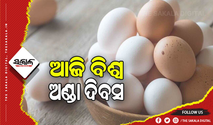 ଆଜି ବିଶ୍ୱ ଅଣ୍ଡା ଦିବସ: ଦୁଇ ବର୍ଷରେ ସ୍ୱାବଲମ୍ବୀ ହେବ ଓଡ଼ିଶା, ରାଜ୍ୟରେ ଦୈନିକ ଉତ୍ପାଦିତ ହେଉଛି ୯୭ ଲକ୍ଷ କୁକୁଡ଼ା ଅଣ୍ଡା