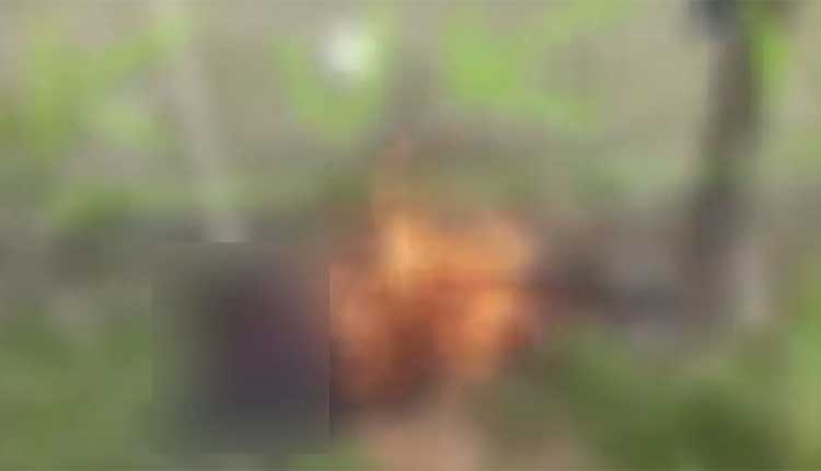 ମଣିପୁର ହିଂସା : ଯୁବକଙ୍କୁ ଜିଅନ୍ତା ଜଳାଇବାର ଭିଡିଓ ଭାଇରାଲ