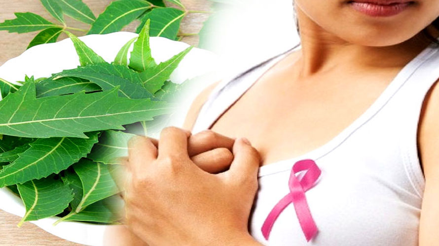 ସ୍ତନ କର୍କଟ ଭଲ କରିବ ନିମ୍ବପତ୍ର, ଭୁବନେଶ୍ବର ଆଇଏଲ୍‌ଏସ୍‌ର ଗବେଷଣା