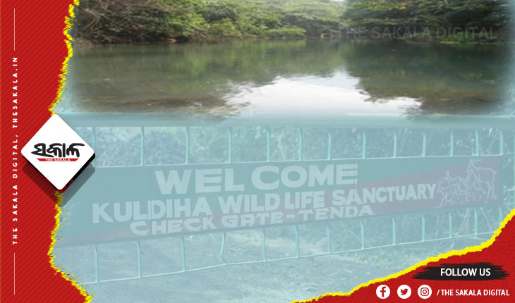 ଆସନ୍ତାକାଲି ପର୍ଯ୍ୟଟକଙ୍କ ପାଇଁ ଖୋଲିବ କୁଳଡିଆ ଅଭୟାରଣ୍ୟ