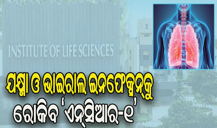 ଆଇଏଲ୍‌‌ଏସ୍‌‌ର ବିରଳ କୀର୍ତ୍ତିମାନ, ଦୁରାରୋଗ୍ୟ ବ୍ୟାଧି ଉପଶମ ଲାଗି ନୂଆ ପ୍ରୋଟିନ୍‌‌ ଉଦ୍‌‌ଭାବନ