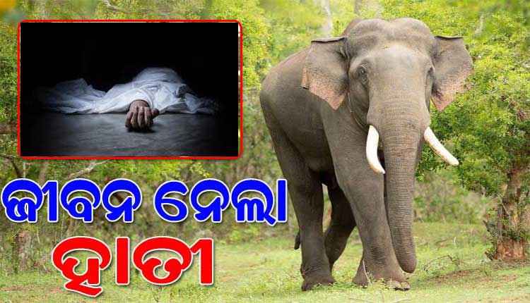 ବିଲକୁ ଯିବାବେଳେ ହାତୀ ଆକ୍ରମଣରେ ଚାଷୀ ମୃତ