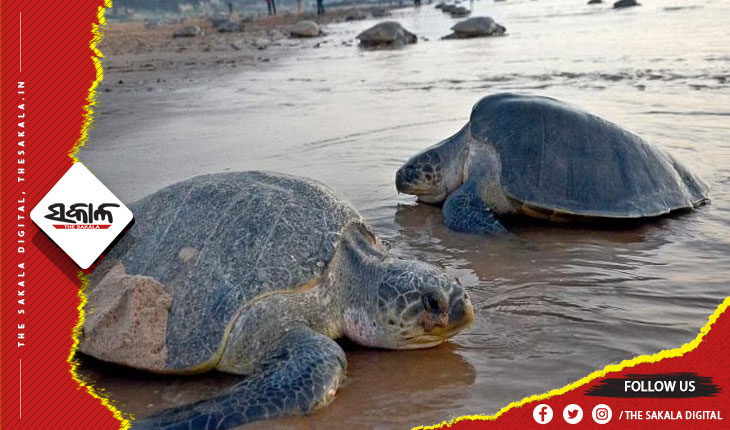 ୭ ମାସ ପର୍ଯ୍ୟନ୍ତ ମାଛଧରା ଉପରେ ଲାଗିଲା କଟକଣା