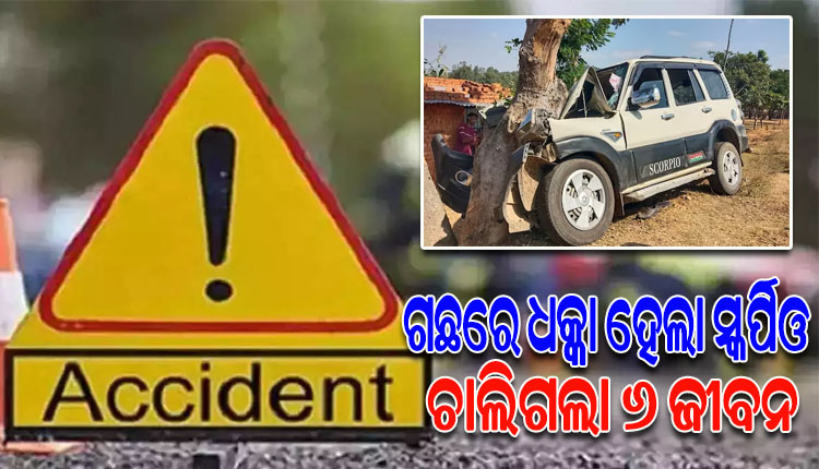 ବାହାଘର ଭୋଜି ଖାଇ ଫେରିବାବେଳେ ଗଛରେ ପିଟି ହେଲା ସ୍କର୍ପିଓ; ୬ ମୃତ