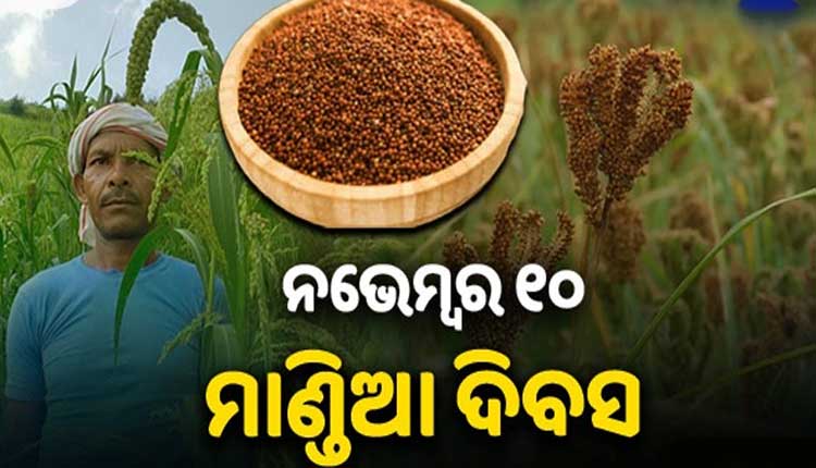 ଆଜି ମାଣ୍ଡିଆ ଦିବସ