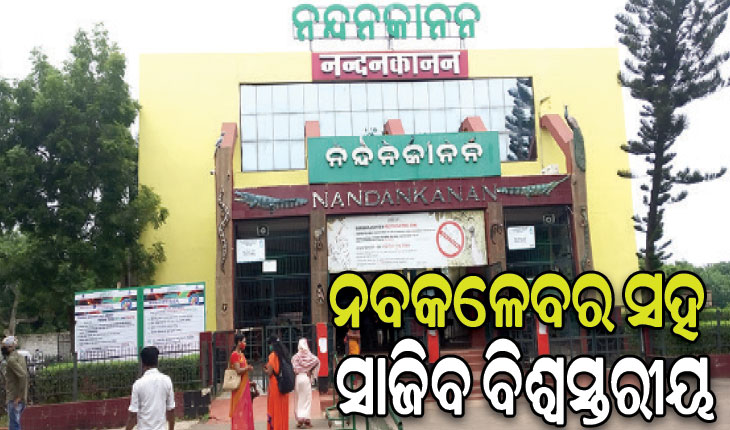 ଆଜି ନନ୍ଦନକାନନ ପ୍ରତିଷ୍ଠା ଦିବସ: ଉଦ୍‌‌ଘାଟନ ହେବ ୭୦ରୁ ଊର୍ଦ୍ଧ୍ବ ପ୍ରଜାତିର ବାଉଁଶ ଉଦ୍ୟାନ
