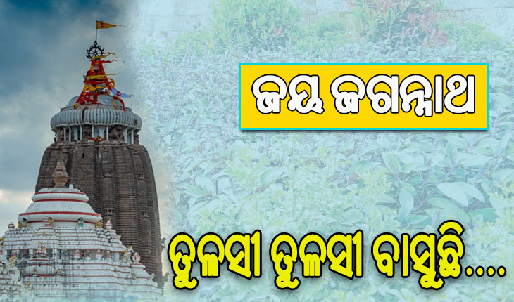 କାଳିଆର ଦର୍ଶନ ସହ ବୃକ୍ଷରାଜି ମଧ୍ୟରେ ହଜି ଯାଉଛନ୍ତି ଶ୍ରଦ୍ଧାଳୁ, ମନ ମୋହୁଛି ଜୁଇ, ଜାଇ, ହେନା ଓ ମଲ୍ଲି…..