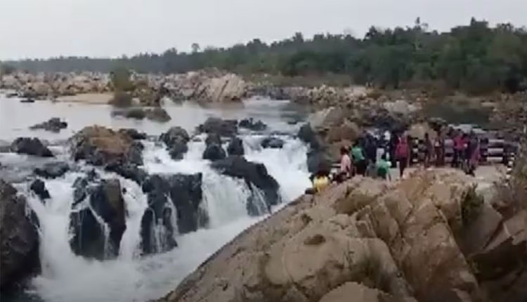 ପିକନିକ୍ ପାଇଁ SOP ଜାରି କଲା ରାଜ୍ୟ ପରିବହନ ବିଭାଗ, ଅମାନିଆଙ୍କ ବିରୋଧରେ ହେବ କଠୋର କାର୍ଯ୍ୟାନୁଷ୍ଠାନ