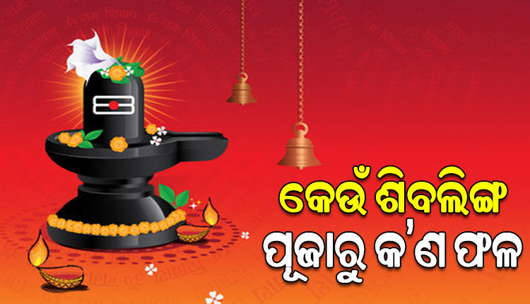 ଜାଣନ୍ତୁ କେଉଁ ଶିବଲିଙ୍ଗକୁ ପୂଜିଲେ, କେଉଁ ଫଳ ମିଳିଥାଏ…