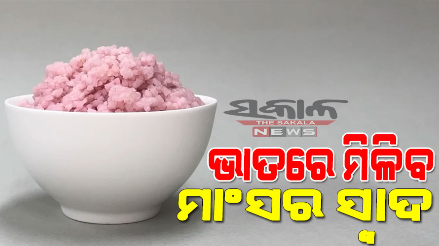 ଭାତରେ ମିଳିବ ମାଂସର ସ୍ବାଦ, ବୈଜ୍ଞାନିକମାନେ ତିଆରି କଲେ ‘ମିଟ୍‌ ରାଇସ୍‌’