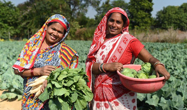 ଝାରସୁଗୁଡାରେ କୃଷକଙ୍କ ଆୟକୁ ବହୁଗୁଣିତ କରିଛି ବେଦାନ୍ତ ଆଲୁମିନିୟମର ‘ଜୀବିକା ସମୃଦ୍ଧି ପ୍ରକଳ୍ପ’