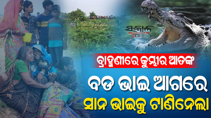 ବିଲରେ ପାଣି ମଡାଉଥିବା ବେଳେ ଟାଣିନେଲା କୁମ୍ଭୀର, ଏପର୍ଯ୍ୟନ୍ତ ମିଳିନି ପତ୍ତା