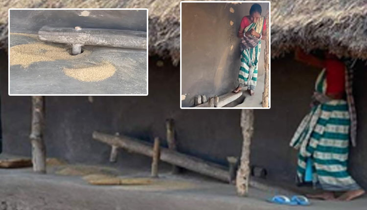 ବିଶ୍ୱାସ ଓ ପରମ୍ପରାର ଅନନ୍ୟ ଉଦାହରଣ ଢିଙ୍କି ପୂଜା