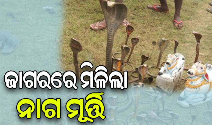 ମହାଶିବରାତ୍ରିରେ ମହାନଦୀରୁ ଶହେରୁ ଅଧିକ ନାଗମୂର୍ତ୍ତି, ଶିବଲିଙ୍ଗ ଓ ବୃଷଭ ମୂର୍ତ୍ତି ଉଦ୍ଧାର