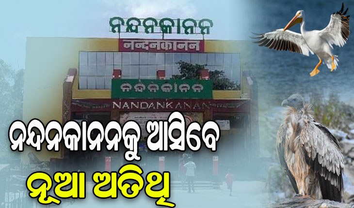 ନନ୍ଦନକାନନକୁ ଆସିବେ ନୂଆ ଅତିଥି, ଆସାମ ଷ୍ଟେଟ ଜୁ ବଟାନିକାଲ ଗାର୍ଡେନ ସହ ହେବ ପଶୁପକ୍ଷୀ ଅଦଳବଦଳ