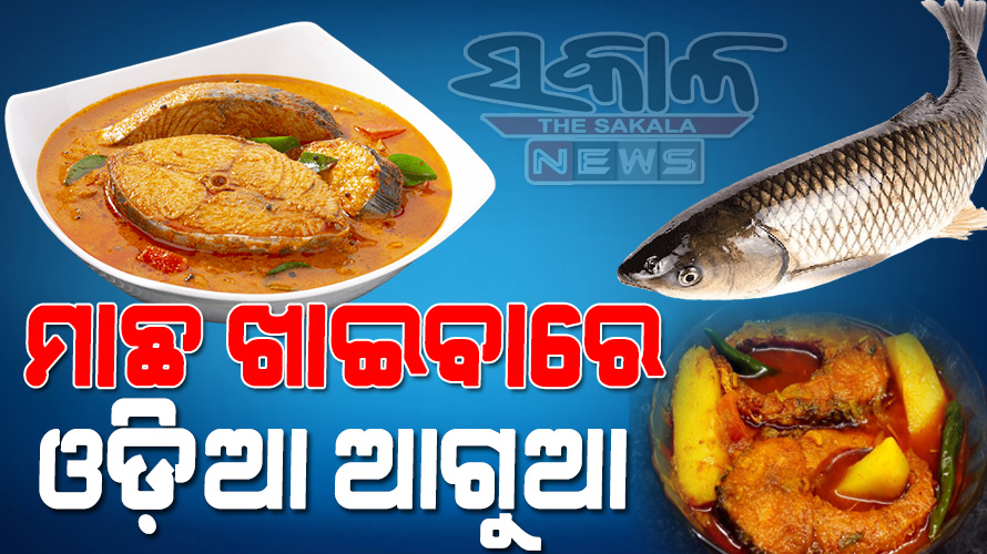 ଆଇସିଏଆର୍‌ ରିପୋର୍ଟ : ମାଛ ଖାଇବାରେ ବଙ୍ଗାଳୀଙ୍କୁ ପଛରେ ପକାଇଲେ ଓଡ଼ିଆ