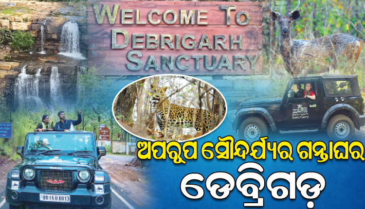 ପର୍ଯ୍ୟଟକଙ୍କୁ ଆକର୍ଷିତ କରୁଛି ପ୍ରକୃତିର ନୈସର୍ଗିକ ଶୋଭାରାଜିର ଭୂଖଣ୍ଡ ଡେବ୍ରିଗଡ଼ ଅଭୟାରଣ୍ୟ