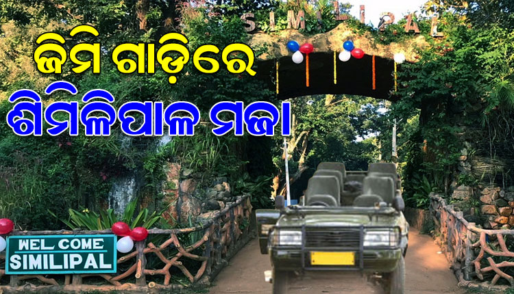 ଖୋଲା କାର୍‌ରେ ଶିମିଳିପାଳର ମଜା ନେବେ ପର୍ଯ୍ୟଟକ; ସ୍ଥାନୀୟ ଚାଳକଙ୍କୁ ମିଳିବ ନିଯୁକ୍ତି, ବୃଦ୍ଧି ପାଇବ ପର୍ଯ୍ୟଟନ ଶିଳ୍ପ
