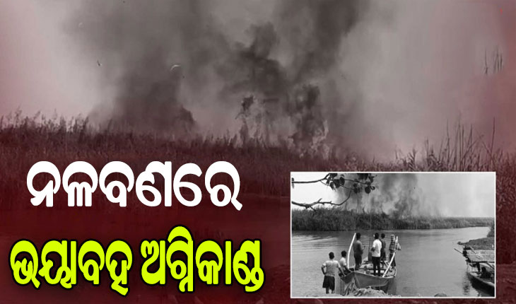 ଚିଲିକା ନଳବଣରେ ଭୟାବହ ଅଗ୍ନିକାଣ୍ଡ
