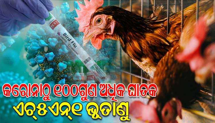 କୋଭିଡ୍‌ଠାରୁ ୧୦୦ଗୁଣ ମାରାତ୍ମକ ଏଚ୍‌୫ଏନ୍‌୧ ବାର୍ଡ ଫ୍ଲୁ ଭୂତାଣୁ
