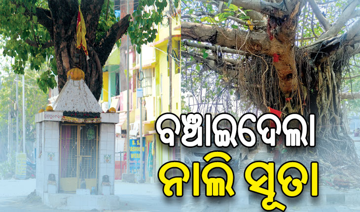 ବିଶ୍ୱାସରେ ବନ୍ଧା ପରିବେଶ, ଗଛ ପାଇଁ ଯୋଜନା ସହ ବଦଳୁଛି ରାସ୍ତା ମୋଡ଼