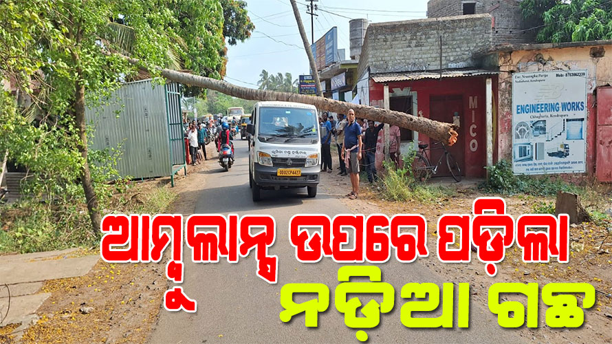 ରାସ୍ତାରେ ଯାଉଥିବା ବେଳେ ଆମ୍ବୁଲାନ୍ସ ଉପରେ ପଡ଼ିଲା ନଡ଼ିଆ ଗଛ, ଅଳ୍ପକେ ବର୍ତିଲେ ରୋଗୀ