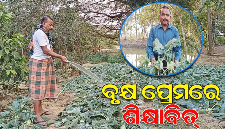 ଅବସର ପରେ ନିଜ ବାରିବଗିଚାକୁ ଉଦ୍ୟାନର ରୂପ ଦେଇଛନ୍ତି ଶିକ୍ଷାଧିକାରୀ ଜୟକୃଷ୍ଣ