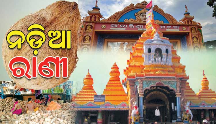 ନଡ଼ିଆ ରାଣୀ ଘଟଗାଁର ମା’ ତାରିଣୀ; ଭକ୍ତଟିଏ ନିଜ ମନର ଆବେଗ ଓ ଶ୍ରଦ୍ଧାର ପ୍ରତୀକ ଭାବରେ ମା’ଙ୍କୁ ଅର୍ପଣ କରିଥାଏ ନଡ଼ିଆ
