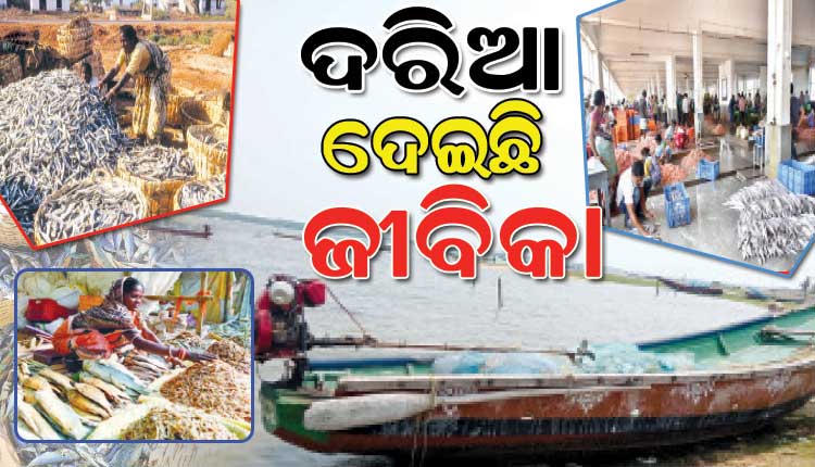 ଜଗତସିଂହପୁର ଜିଲ୍ଲାର ଅଧିକାଂଶ ଲୋକଙ୍କୁ ଜୀବନଜୀବିକା ଦେଇଛି ଦରିଆ