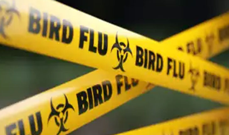 ବାର୍ଡ ଫ୍ଲୁରେ ଗଲା ପ୍ରଥମ ଜୀବନ, ସୂଚନା ଦେଲା ବିଶ୍ୱ ସ୍ୱାସ୍ଥ୍ୟ ସଂଗଠନ