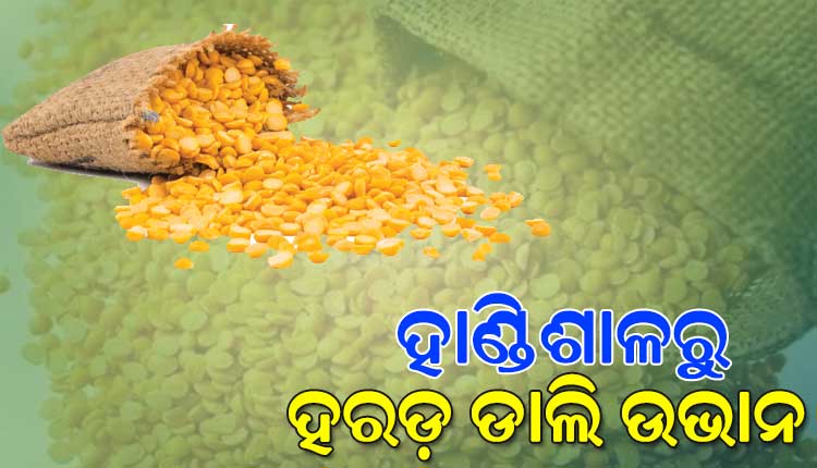 ଗରିବ ଓ ମଧ୍ୟବିତ୍ତଙ୍କ ହାଣ୍ଡିଶାଳରୁ ହରଡ଼ ଡାଲି ଉଭାନ; ୬ମାସରେ କିଲୋ ପ୍ରତି ବଢ଼ିଲାଣି ୪୦ଟଙ୍କା