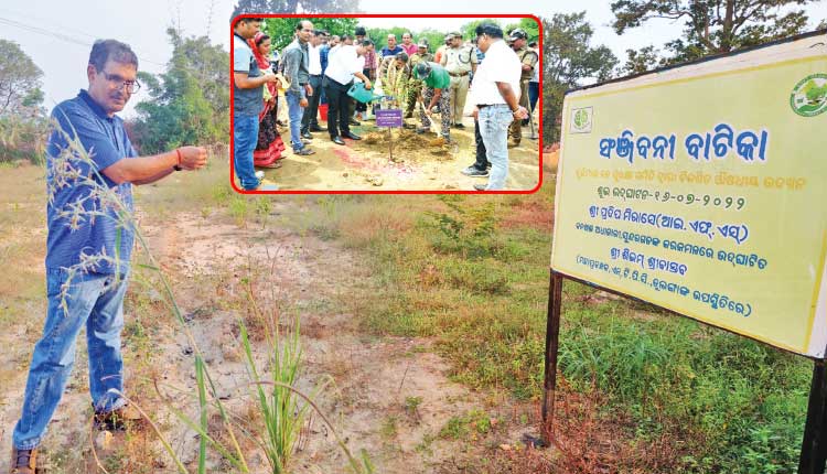 ସଞ୍ଜୀବନୀ ବାଟିକା ସୁରକ୍ଷାରେ ଝୁରିମାଲ ଗାଁର ବନ ସୁରକ୍ଷା ସମିତି…