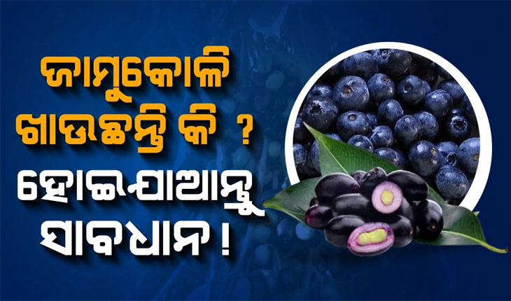 ଏହି ଲୋକମାନଙ୍କ ପାଇଁ ‘ବିଷ’ ଭଳି ହୋଇଥାଏ ଜାମୁକୋଳି, ଜାଣନ୍ତୁ କେଉଁମାନଙ୍କୁ ଜାମୁ ଖାଇବା ମନା….