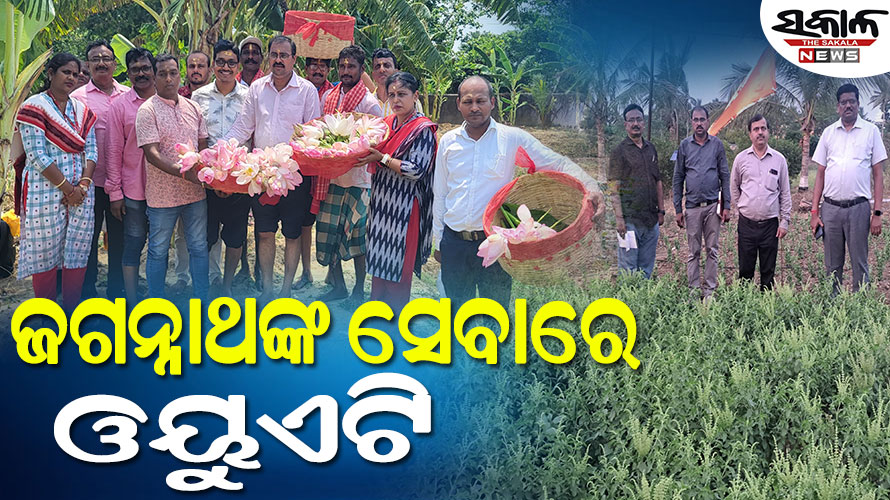 ମହାପ୍ରଭୁଙ୍କ ପାଇଁ ପଦ୍ମ ଓ ତୁଳସୀ ପଠାଇଲା ସାକ୍ଷୀଗୋପାଳ ସ୍ଥିତ ପୁରୀ କୃଷି ବିଜ୍ଞାନ କେନ୍ଦ୍ର