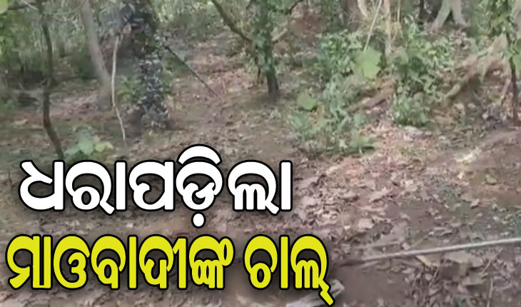 ଜଙ୍ଗଲରୁ ଠାବ ହେଲା ସ୍ପାଇକ୍‌ ହୋଲ୍‌, ସର୍ଚ୍ଚ ଅପେରେସନ ଜାରି
