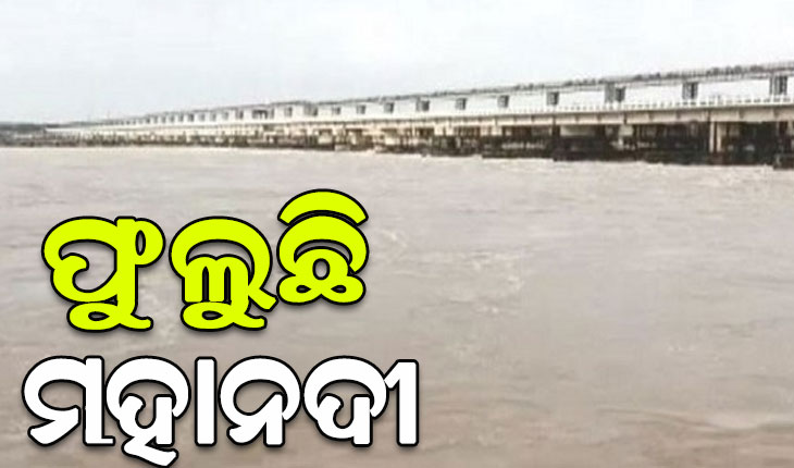 ଉପର ମୁଣ୍ଡରେ ଲଗାଣ ବର୍ଷା, ଫୁଲୁଛି ମହାନଦୀର ଜଳସ୍ତର