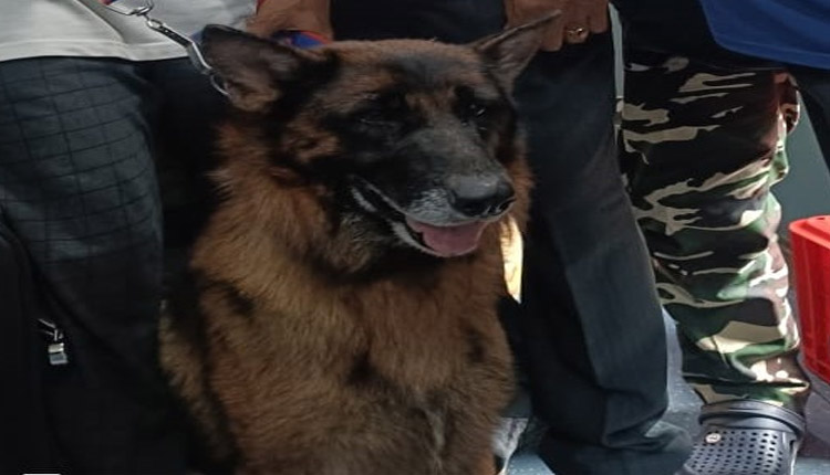 ଓ୍ବାୟନାଡ ଗଲା ବ୍ରହ୍ମପୁର ପୋଲିସର ସନ୍ଧାନୀ କୁକୁର ‘ଷ୍ଟର୍ମ’, ଭୂ-ସ୍ଖଳନ ଘଟଣାରେ ଉଦ୍ଧାର କାର୍ଯ୍ୟରେ କରିବ ସହଯୋଗ