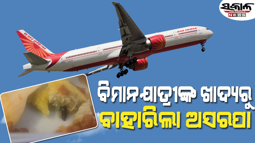 ବିମାନ ଯାତ୍ରୀଙ୍କ ଖାଦ୍ୟରେ ବାହାରିଲା ଅସରପା, ଏୟାର ଇଣ୍ଡିଆର ତଦନ୍ତ ଆରମ୍ଭ