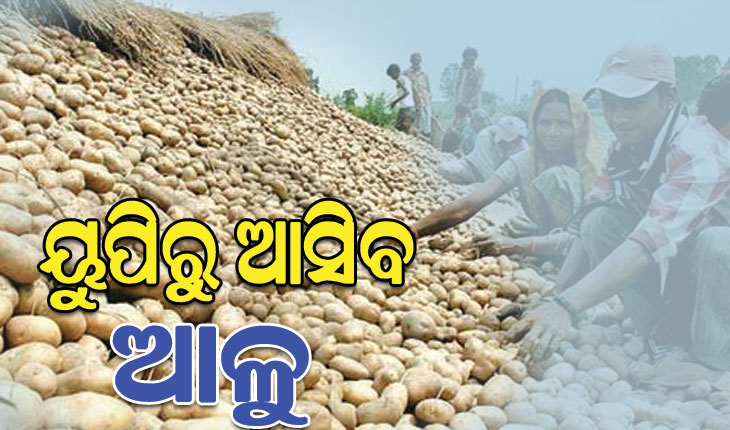 ଯୋଗାଣମନ୍ତ୍ରୀଙ୍କ ରାଜନୀତି ଖେଳ; କେଉଁଠି ଅଟକିଛି ‘ଆଳୁ’ ରେଳ ?