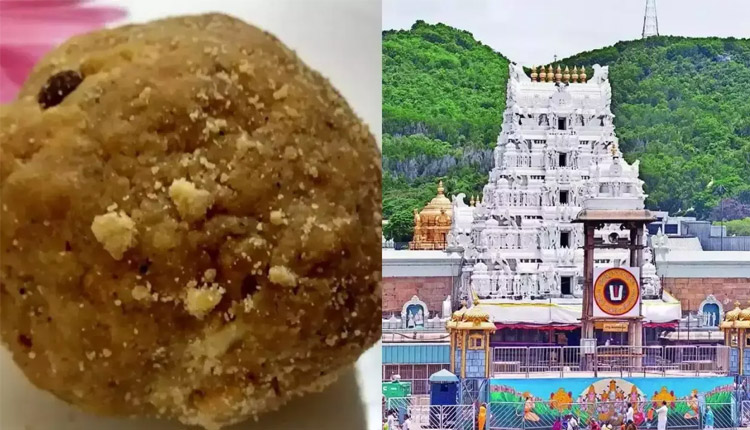 ତିରୁପତି ଲଡୁରେ ପଶୁ ଚର୍ବି ଓ ମାଛ ତେଲ ମିଶ୍ରଣ ମାମଲା: ଆନ୍ଧ୍ର ସରକାରଙ୍କୁ ରିପୋର୍ଟ ମାଗିଲା କେନ୍ଦ୍ର
