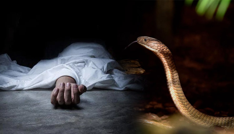 ସାପ କାମୁଡ଼ାରେ ଚାଲିଗଲା ୩ ଭଉଣୀଙ୍କ ଜୀବନ