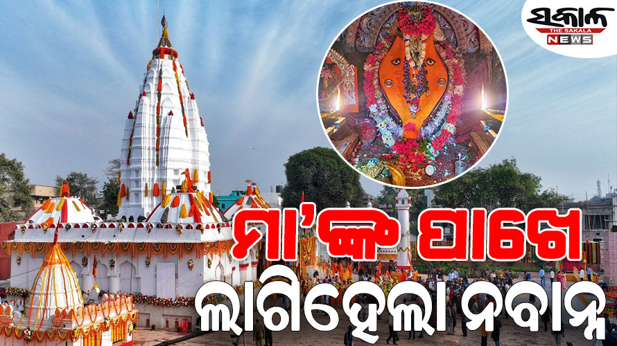 ନୂଆଁଖାଇ ପାଇଁ ଦୁଲୁକୁଛି ପଶ୍ଚିମ ଓଡ଼ିଶା, ମା’ ସମଲେଇଙ୍କ ପାଖେ ଲାଗି ହେଲା ନବାନ୍ନ