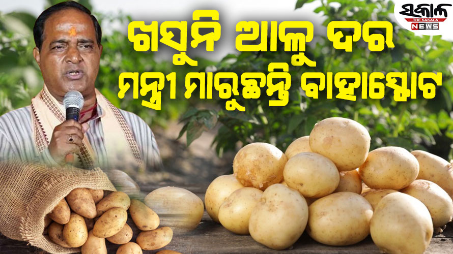 ଏବେବି ଆଳୁ କିଲୋ ୩୫, ଚିନ୍ତାରେ ଖାଉଟି, ମନ୍ତ୍ରୀ କହୁଛନ୍ତି ୧୫-୨୦ ଟଙ୍କାରେ ବିକ୍ରି ହେଉଛି ଆଳୁ