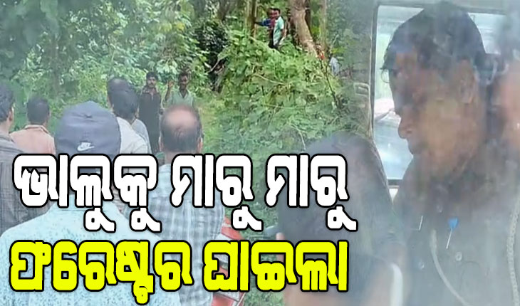 ଭାଲୁକୁ ଟ୍ରାଙ୍କୁଲାଇଜବେଳେ ଅଘଟଣ, ଫରେଷ୍ଟରଙ୍କ ଦେହରେ ବାଜିଲା ଇଞ୍ଜେକ୍ସନ