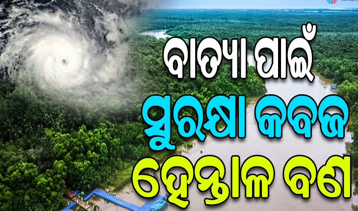 ଭିତରକନିକା ହେନ୍ତାଳ ବଣରେ ବାତ୍ୟା ଲ୍ୟାଣ୍ଡଫଲ୍‌ କଲେ, ପୋଖରୀ ଓ ନାଳକୁ ବ୍ୟବହାର କରନ୍ତୁ ନାହିଁ: ପିସିସିଏଫ୍‌