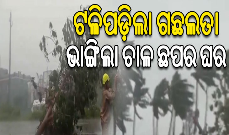 ହବାଳିଖଟିରେ ଲ୍ୟାଣ୍ଡଫଲ କଲା ବାତ୍ୟା ‘ଦାନା’, ଭାଙ୍ଗିଲା ଘର ଉଡିଲା ଚାଳଛପର…