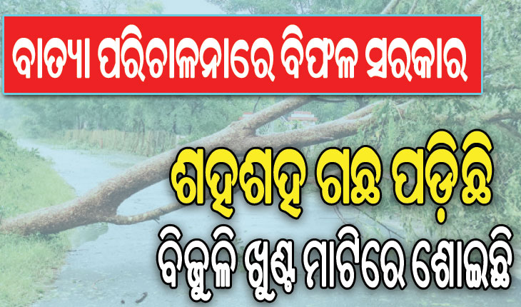 ସରକାରଙ୍କ ମୁଖା ଖୋଲିଲେ ନିଜ ଦଳର ବିଧାୟକ: ପ୍ରଚାରଠାରୁ ବାସ୍ତବତା ଭିନ୍ନ; ଶହଶହ ଗଛ ପଡ଼ିଛି, ବିଜୁଳି ଖୁଣ୍ଟ ମାଟିରେ ଶୋଇଛି…