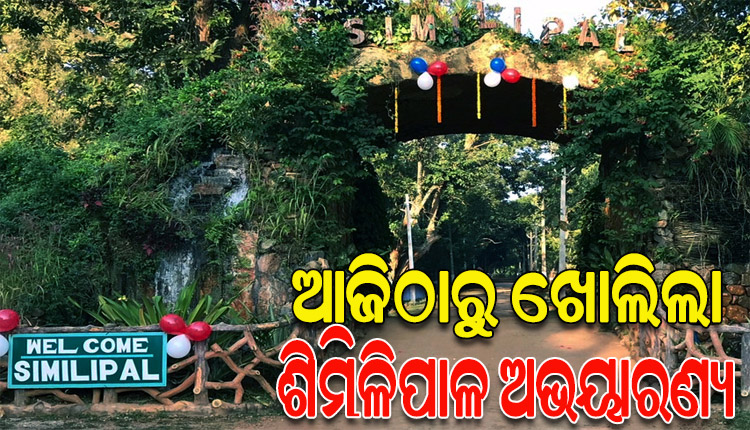 ଆଜିଠୁ ପର୍ଯ୍ୟଟକଙ୍କ ପାଇଁ ଖୋଲିଲା ଶିମିଳିପାଳ ଅଭୟାରଣ୍ୟ
